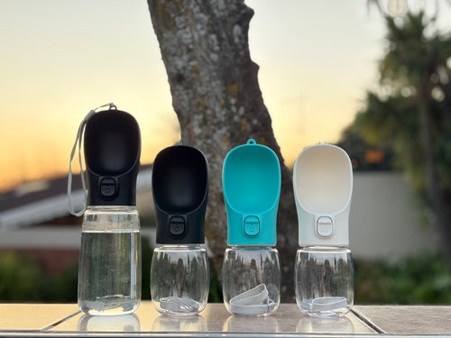 Hydration Pro Bottle for Pets
