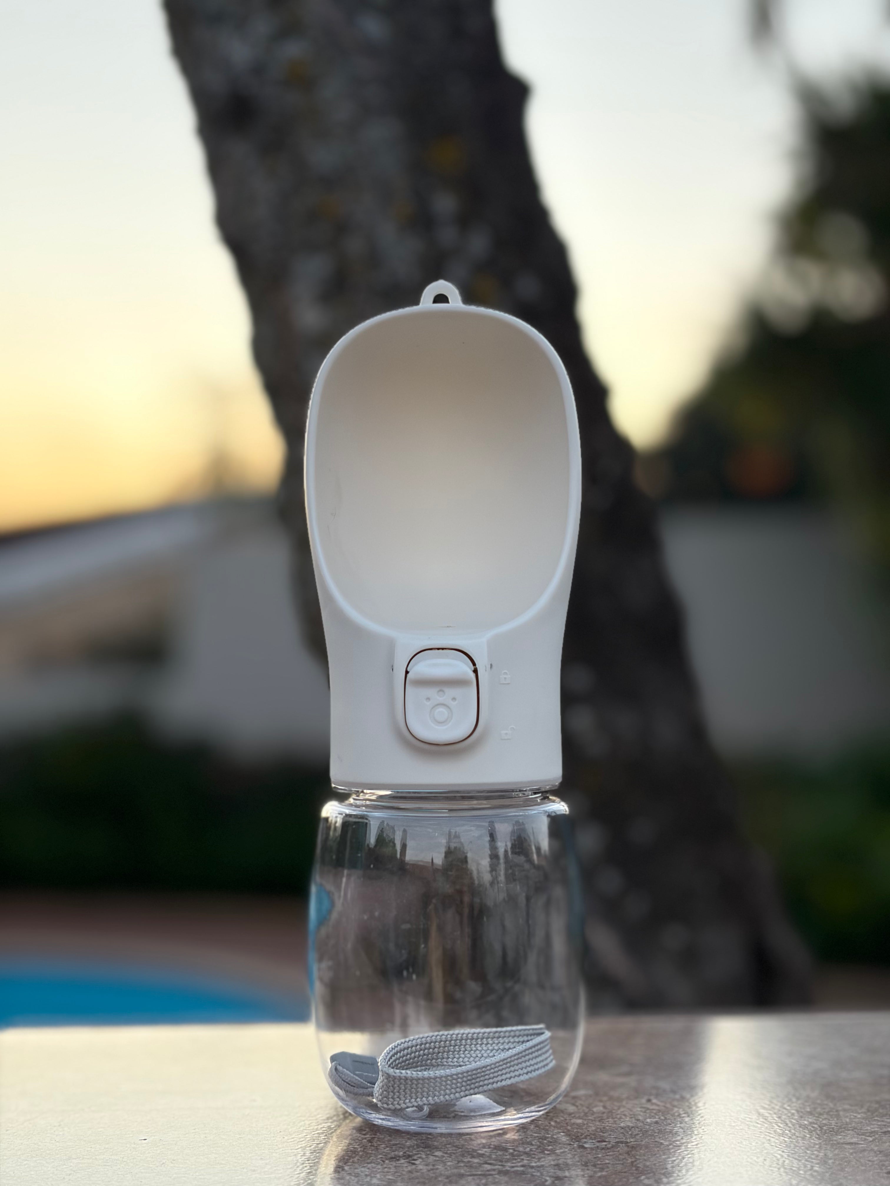 Hydration Pro Bottle for Pets